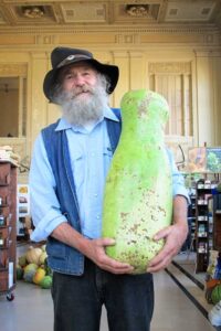 Gorgeous Ornamental Gourds Image